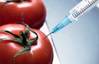 ГМО спровоцировало эпидемию самоубийств